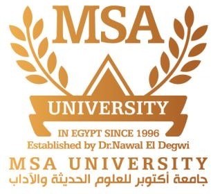 MSA University